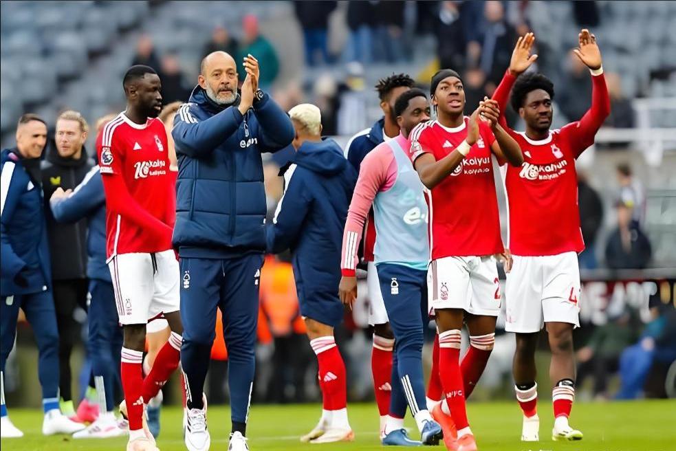 球队在赛季中经历起伏,力争一场接一场地取胜的简单介绍 球队在赛季中经历起伏,力争一场接一场地取胜的简单介绍